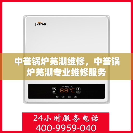 中誉锅炉芜湖维修，中誉锅炉芜湖专业维修服务